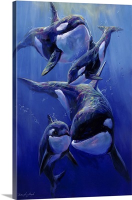 Orca Family
