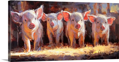 Pigsty Gang