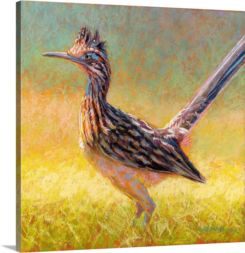 R Is For Roadrunner