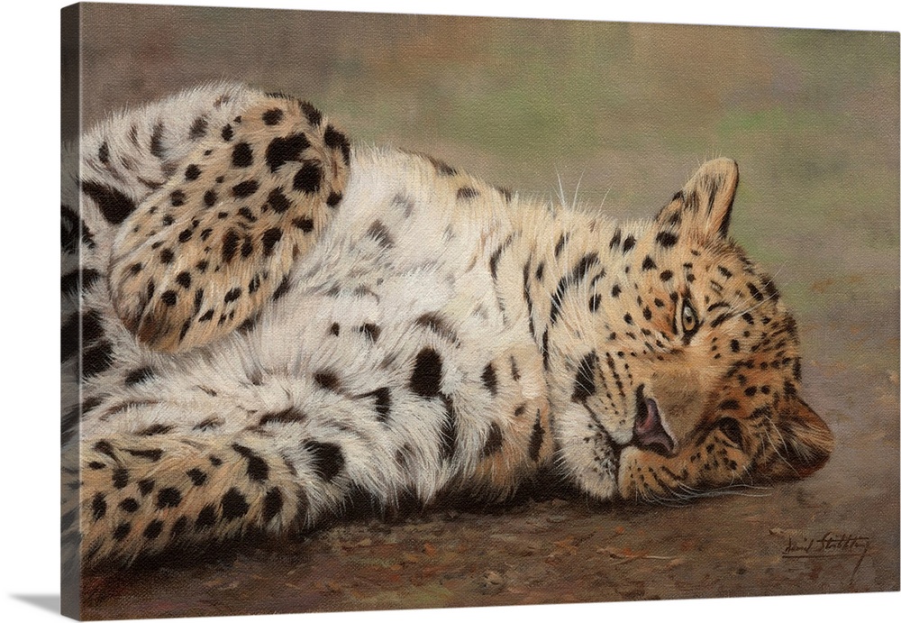 Leopard resting, oil on canvas
