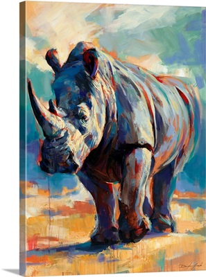 Rhino 3