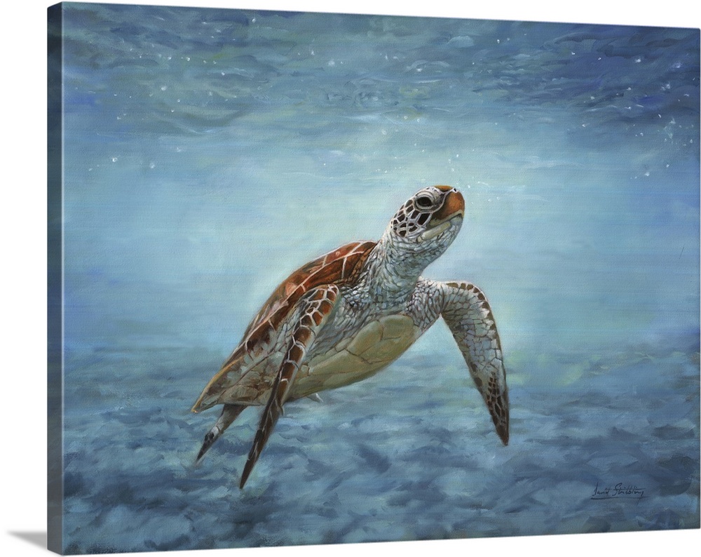 Sea turtle. Aquatic wildlife. Originally oil on canvas.