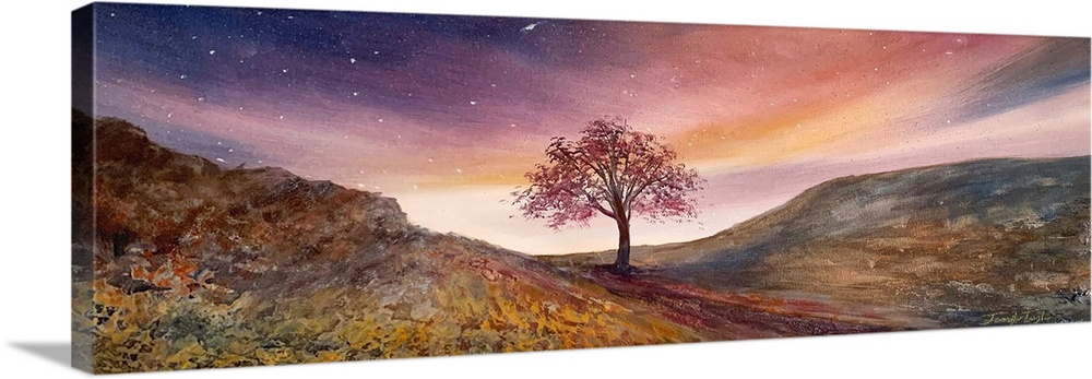 Skies Of Gold Over Sycamore Gap