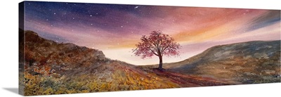 Skies Of Gold Over Sycamore Gap