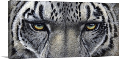Snow Leopard Eyes