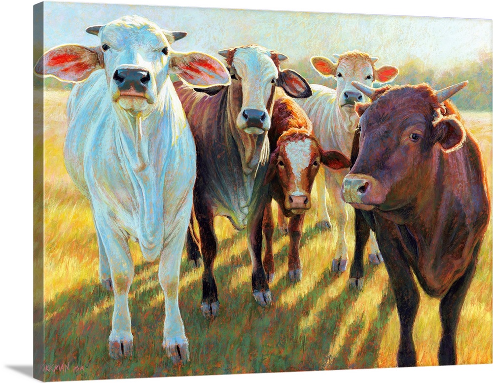 The Bovines