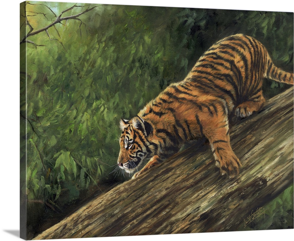 Originally an oil painting on canvas depicting an Amur Tiger descending a tree trunk.