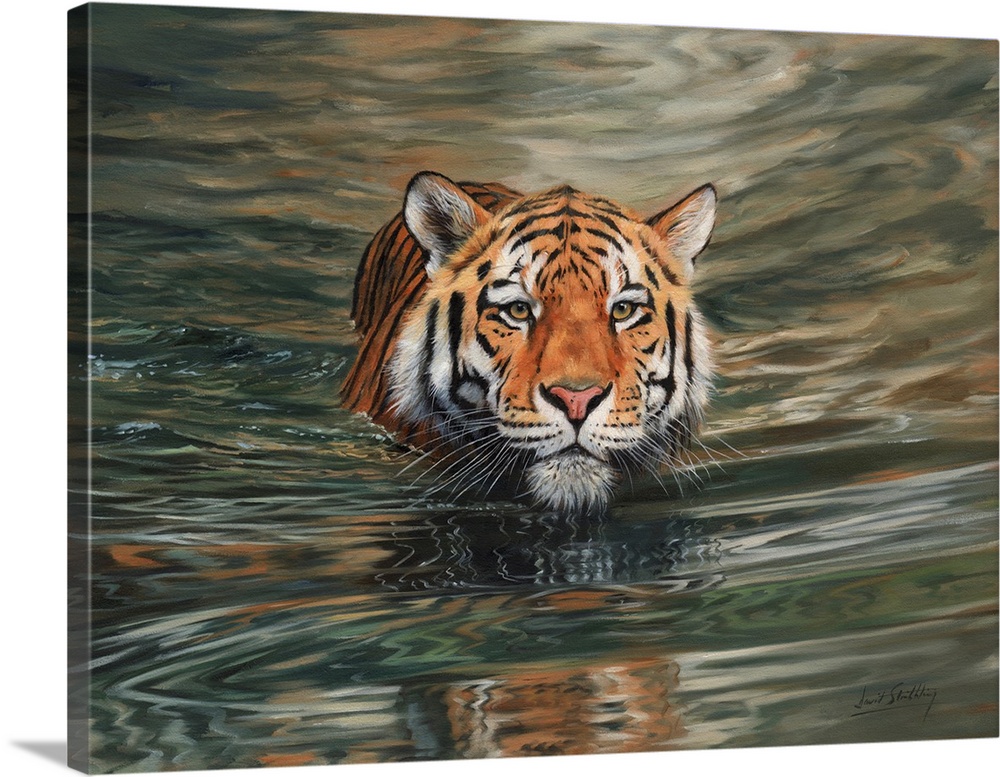 Tiger Water Swimming