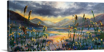 Unfolding Light, Lake District, Uk