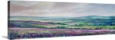 Windswept Colour image thumbnail