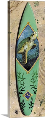Turtle Board