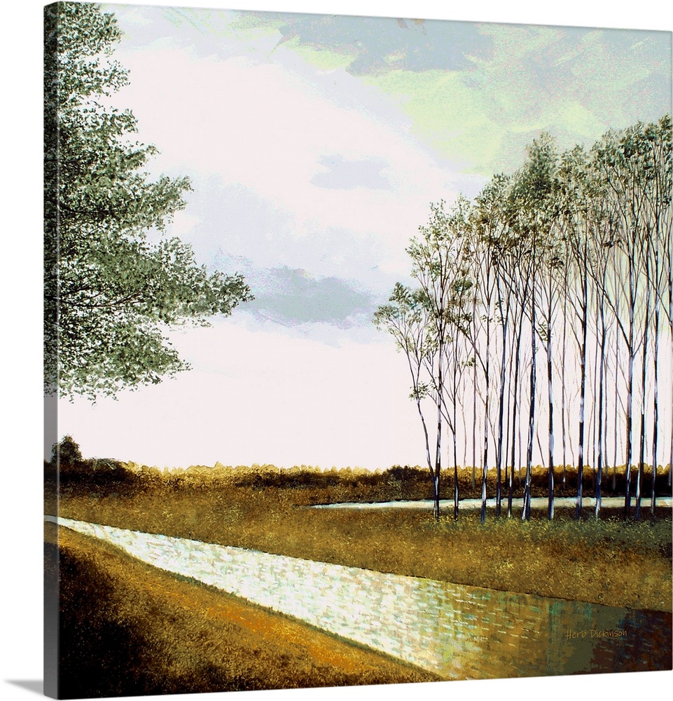 Landscape with skinny trees and a stream running through the middle.