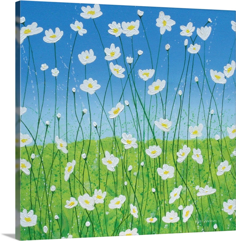 Square painting of white daisies with long, thin stems in a field with a blue sky in the background.