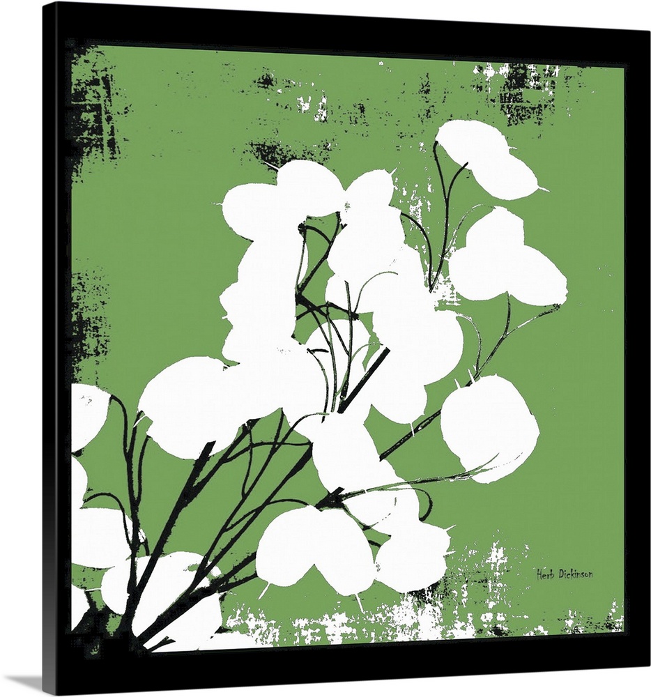 Square silhouetted painting of a money plant in green, black, and white with a black boarder.
