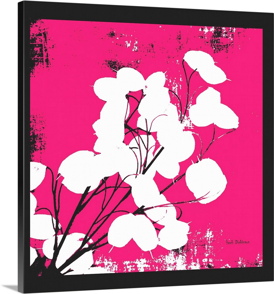 Square silhouetted painting of a money plant in black, white, and pink.