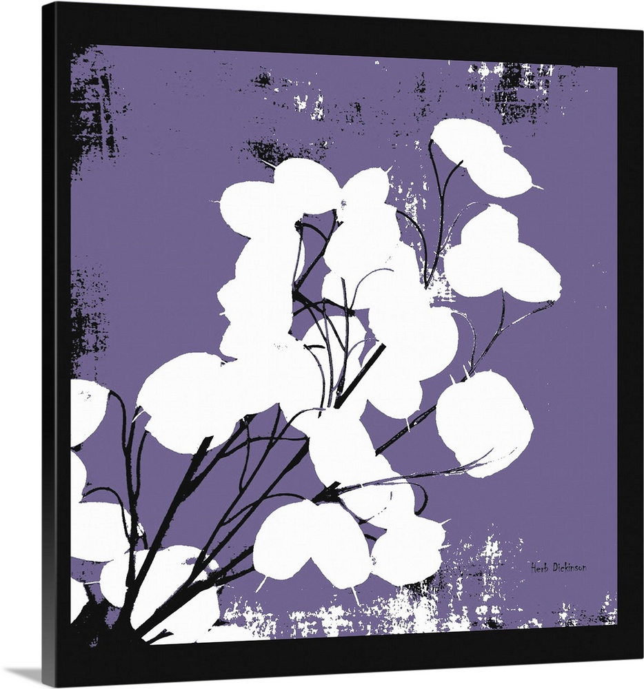 Square silhouetted painting of a money plant in purple, black, and white, with a black boarder.