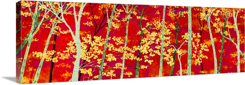 Yellow leaves and tree tops on a bright red background.