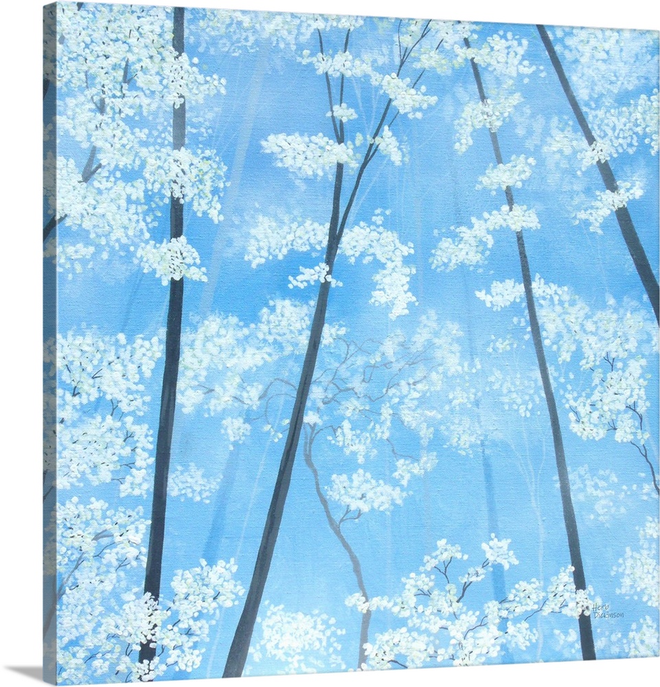 Impressionist painting looking up at white blossomed tree tops with a sky blue background.