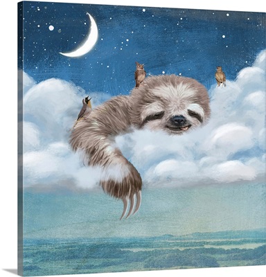 A Sloth's Dream