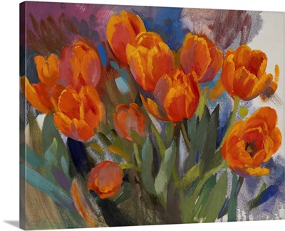 Apricot Tulips