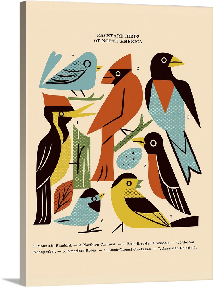 Backyard Birds Of North America