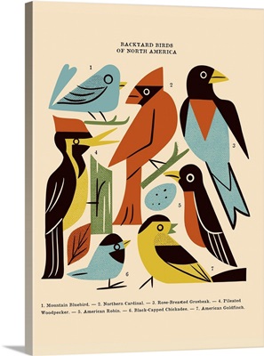 Backyard Birds Of North America