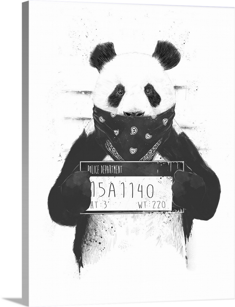 A contemporary illustration of a panda bear holding up a mug shot card and wearing a black bandanna on face.