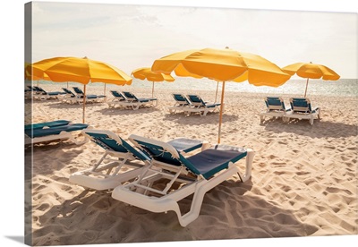 Beach Oasis