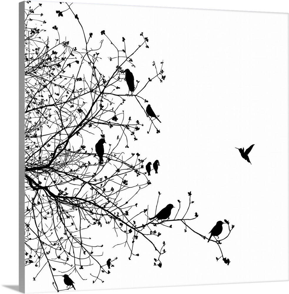 A black and white illustration of a group of birds sitting on a tree branch.