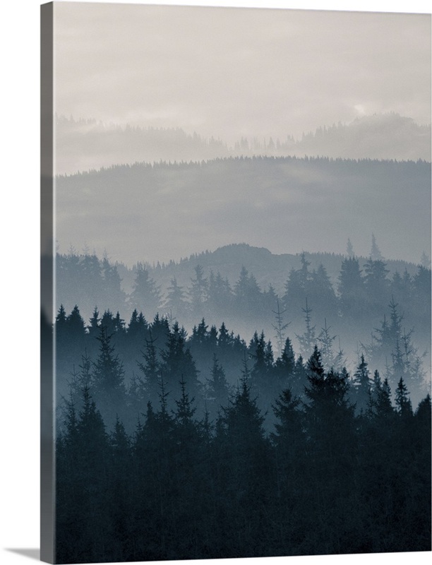 Blue Mountains II | Great Big Canvas