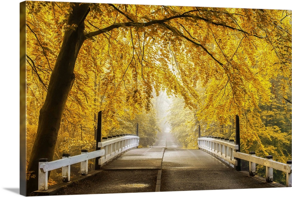 Beautiful fall landscape of a bridge and road going off in the distance, surrounded by bright yellow leafed trees.
