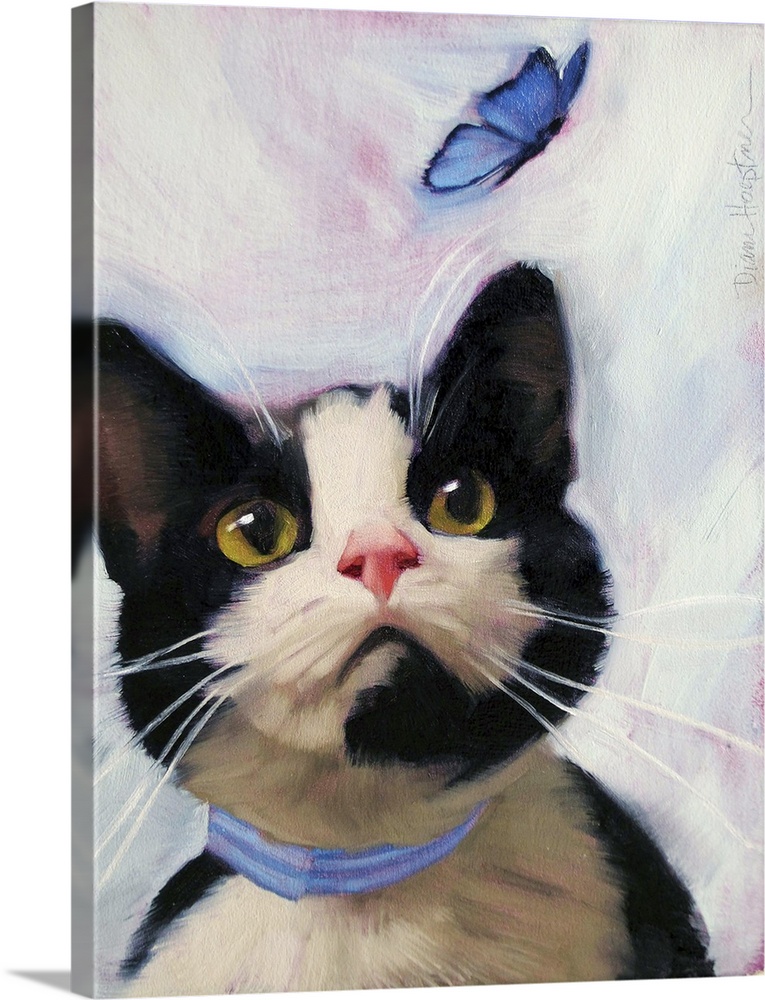 Contemporary portrait of a black and white cat looking at a blue butterfly.
