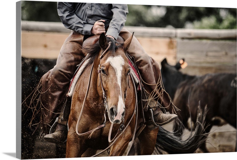 Cutting Horse Wall Art, Canvas Prints, Framed Prints, Wall Peels