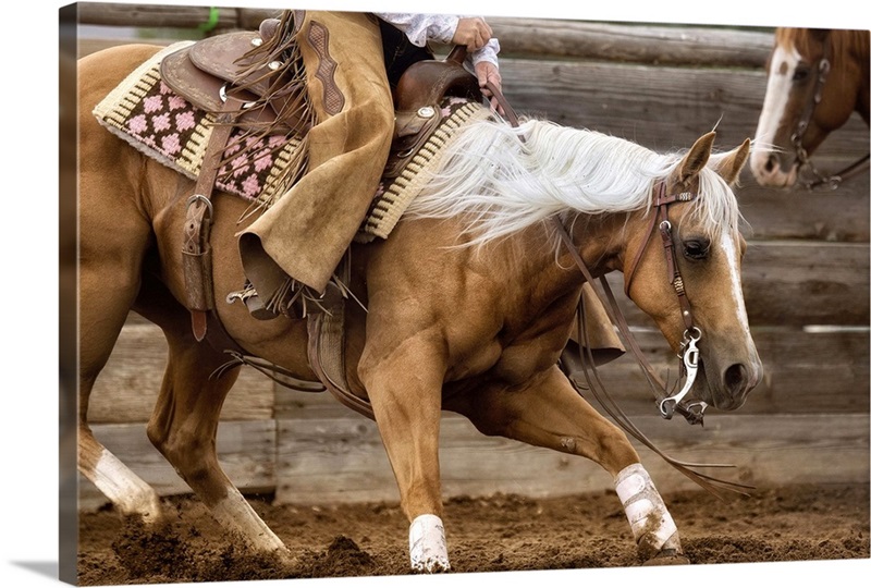 Cutting Horses Great Big Canvas