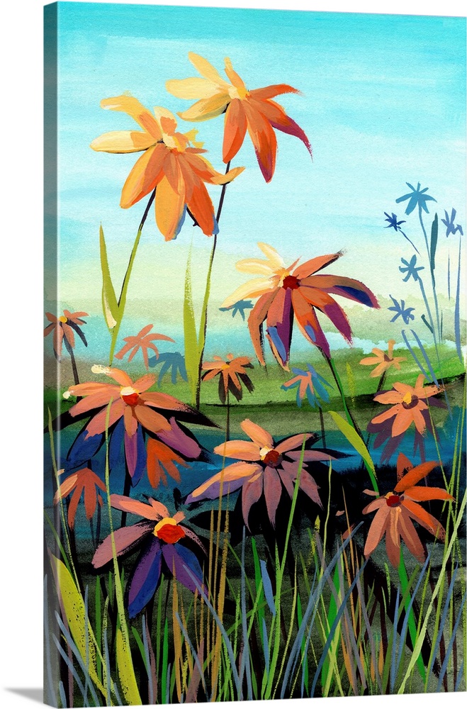 Daisies in Sunset Colors