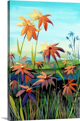 Daisies in Sunset Colors