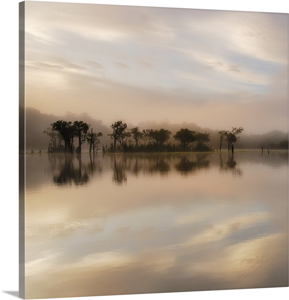Dawn Mist on the Amazon