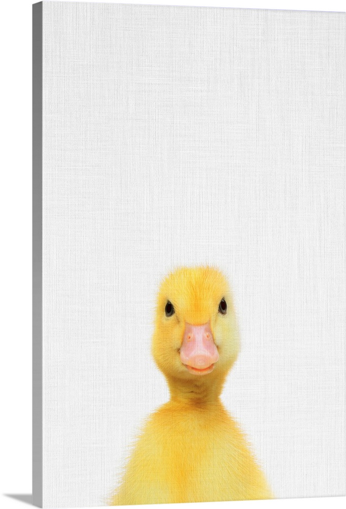 A digital illustration of a baby duck.