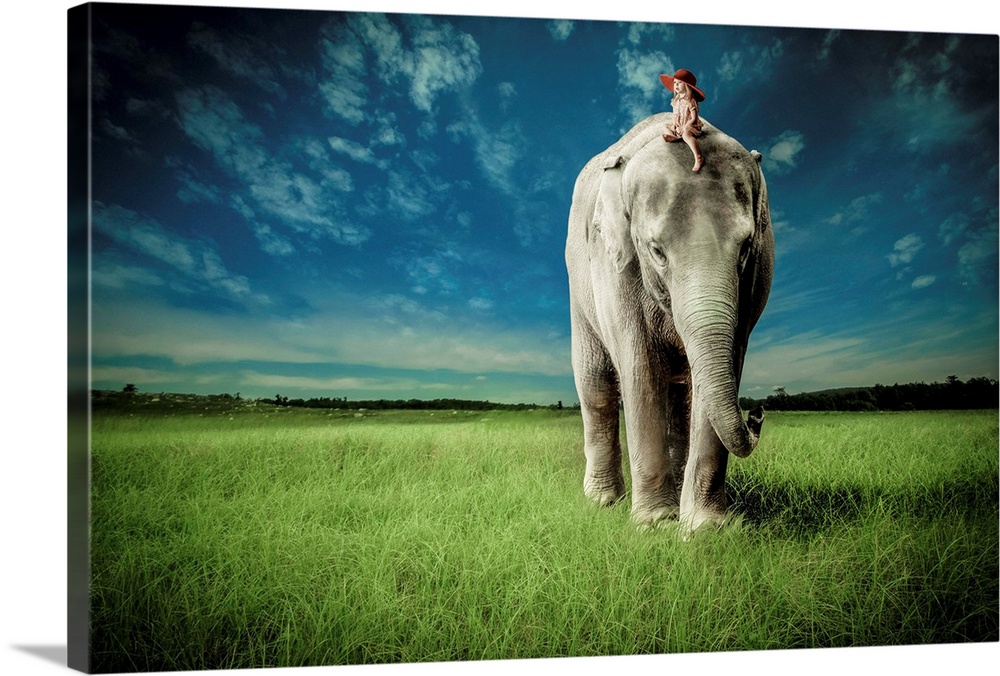 Elephant Carry Me