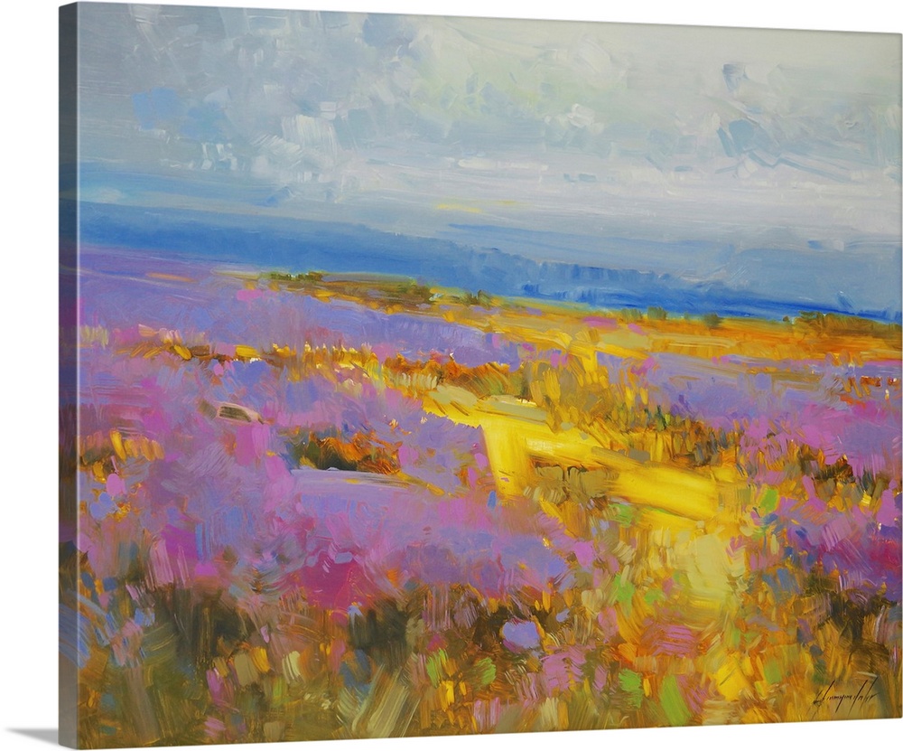 Field of Lavenders 2