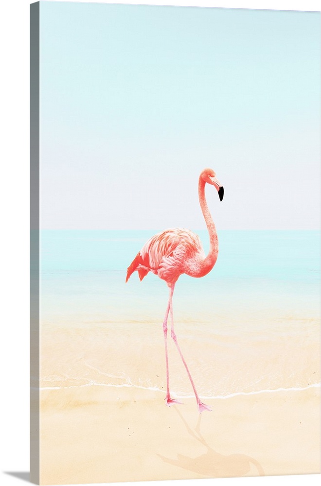 An image of a flamingo walking on a calm beach.