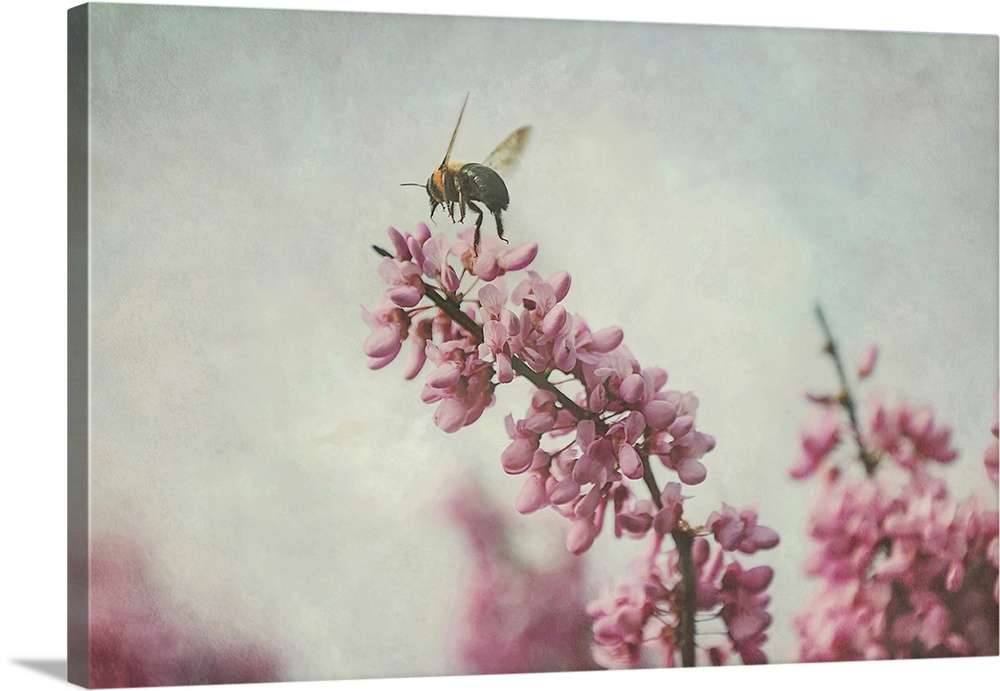 Flight of the Bumblebee