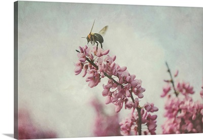Flight of the Bumblebee