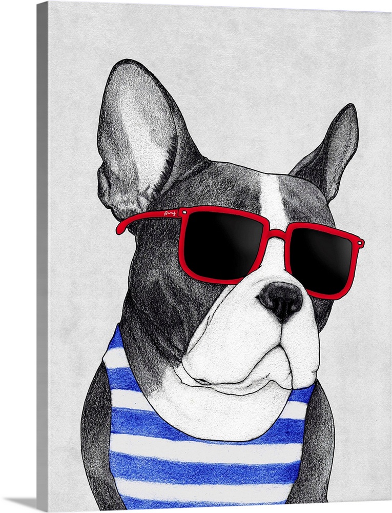 A digital illustration of a french bull dog in a striped tank and red sunglasses.