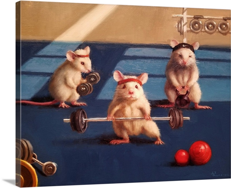 Gym Rat – Image Conscious
