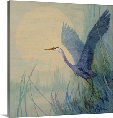 Heron Lifting Off