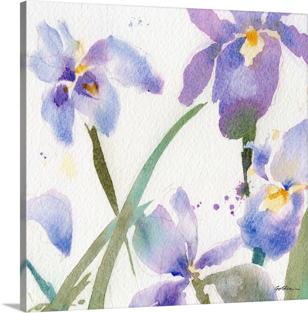 Contemporary watercolor painting of purple irises.