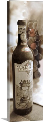 Montepulciano Vineyard 1