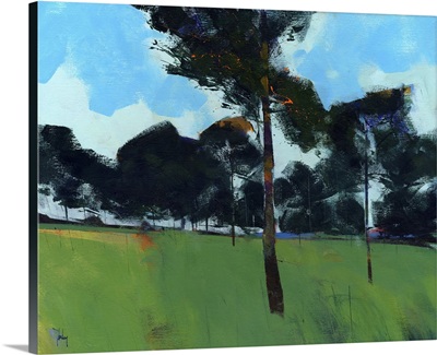 Moorland Pines