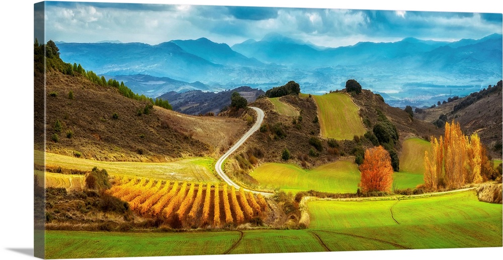 Wine field and hills in Navarra.